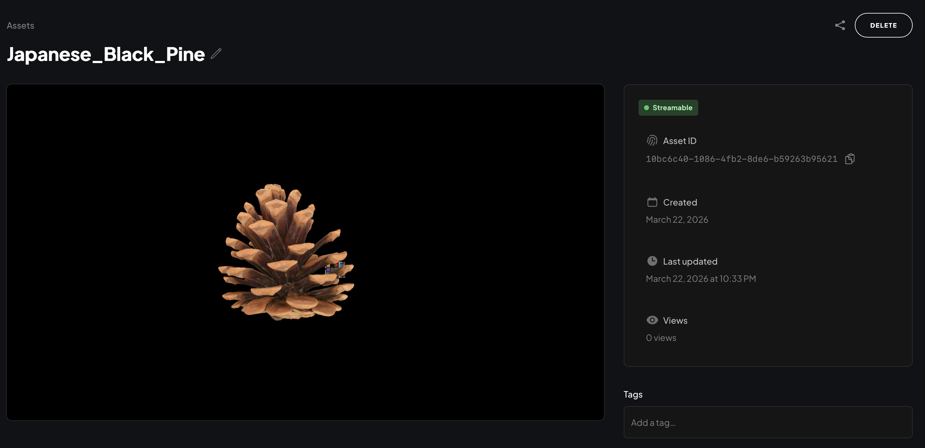 Asset details page showing the 3D viewport, status panel, and tags